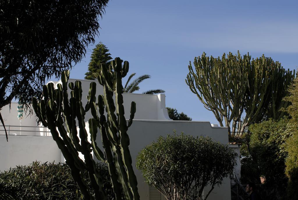 Hotel Terme Villa Teresa Forio di Ischia Zewnętrze zdjęcie