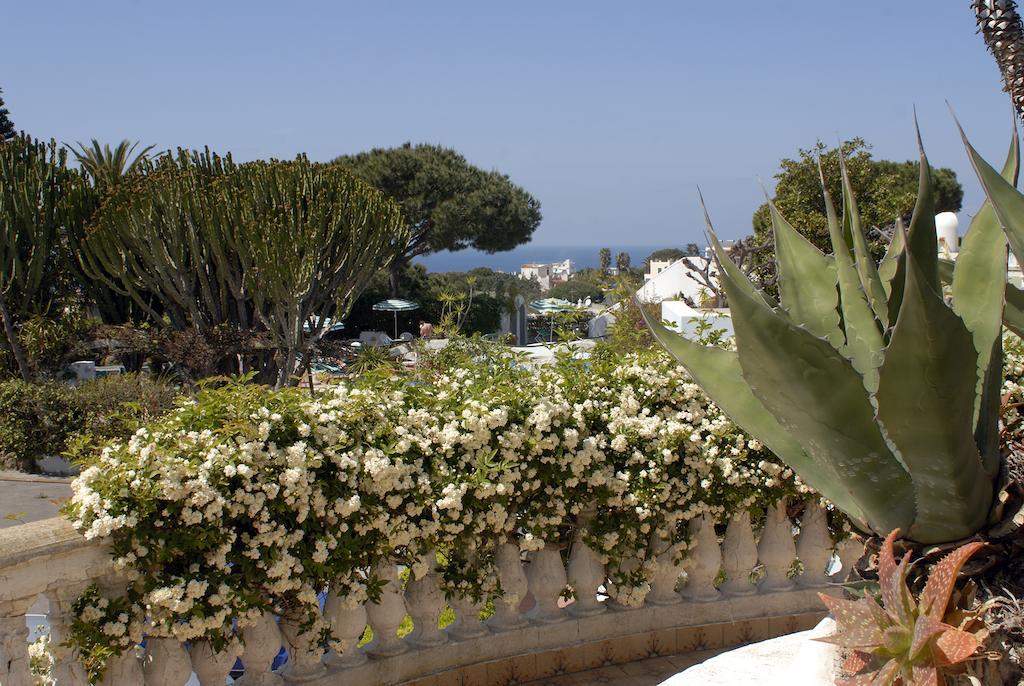 Hotel Terme Villa Teresa Forio di Ischia Zewnętrze zdjęcie