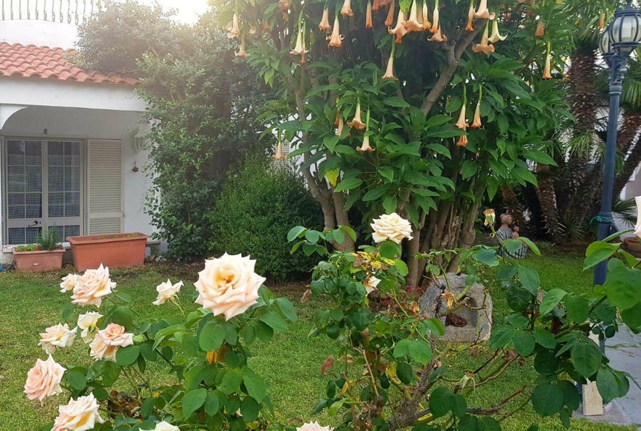 Hotel Terme Villa Teresa Forio di Ischia Zewnętrze zdjęcie